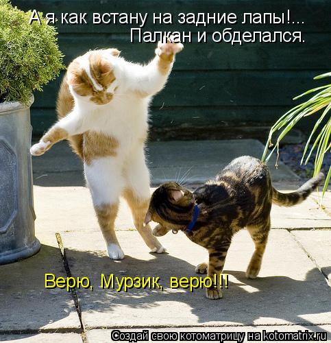 Котоматрица: А я как встану на задние лапы!... Палкан и обделался. Верю, Мурзик, верю!!!