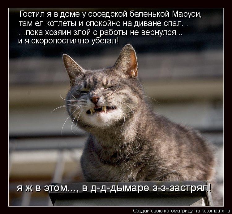 Котоматрица: Гостил я в доме у соседской беленькой Маруси, там ел котлеты и спокойно на диване спал... ...пока хозяин злой с работы не вернулся... и я скоропо