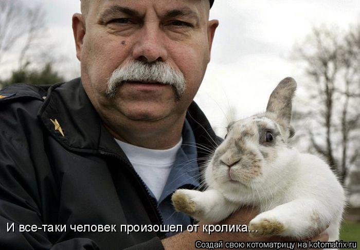 Котоматрица: И все-таки человек произошел от кролика...
