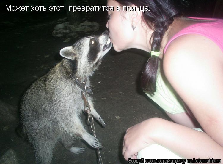 Котоматрица: Может хоть этот  превратится в принца... Может хоть этот  превратится в принца...