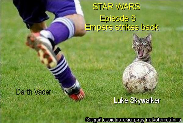 Котоматрица: STAR WARS Episode 5 Empere strikes back Luke Skywalker Darth Vader