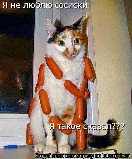 Котоматрица: Я не люблю сосиски!  Я такое сказал???