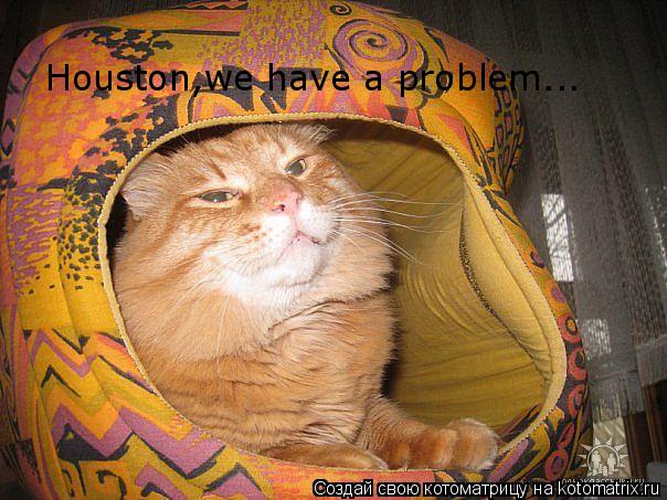 Котоматрица: Houston,we have a problem...