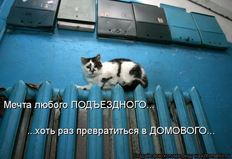 Котоматрица: Мечта любого ПОДЪЕЗДНОГО... ...хоть раз превратиться в ДОМОВОГО...