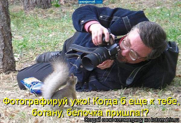 Котоматрица: ботану, белочка пришла!? Фотографируй ужо! Когда б еще к тебе,