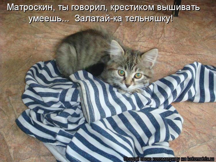 Котоматрица: Матроскин, ты говорил, крестиком вышивать умеешь...  Залатай-ка тельняшку!