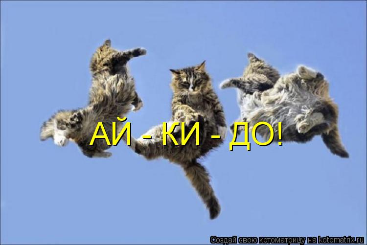 Котоматрица: АЙ - КИ - ДО!