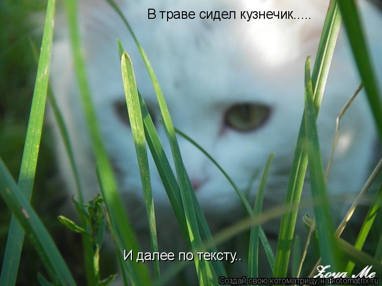 Котоматрица: В траве сидел кузнечик..... И далее по тексту..