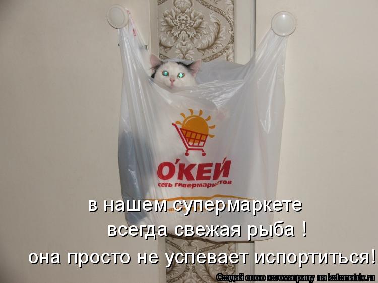 в нашем супермаркете всегда свежая рыба ! она просто не успевает испортиться!... Котоматрица: в нашем супермаркете всегда свежая рыба ! она просто не успевает испортиться!