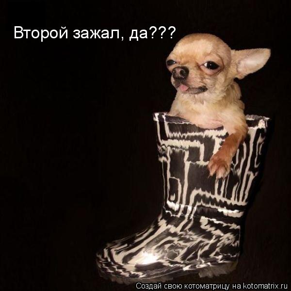 Котоматрица: Второй зажал, да???