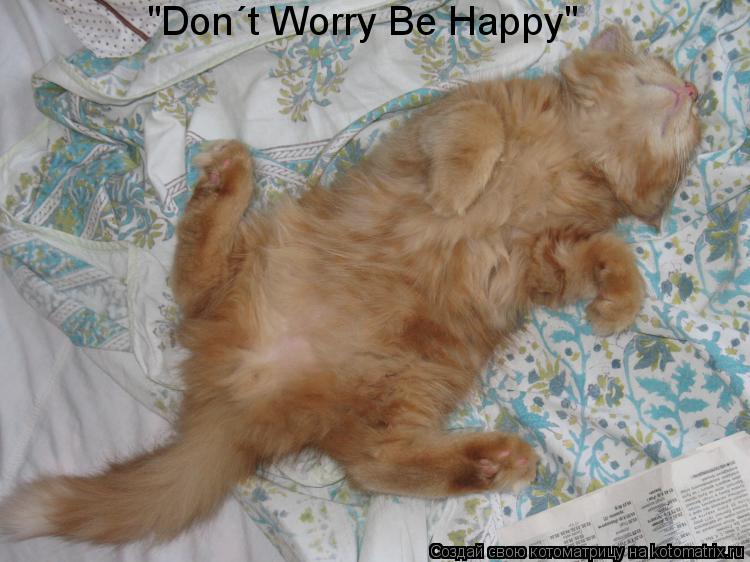 Котоматрица: "Don&#180;t Worry Be Happy"