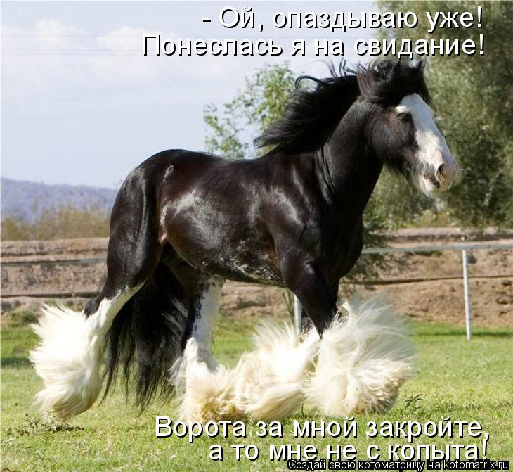 - Ой, опаздываю уже! Понеслась я на свидание! Ворота за мной закройте, а то мне не с копыта!... Котоматрица: - Ой, опаздываю уже! Понеслась я на свидание! Ворота за мной закройте, а то мне не с копыта!