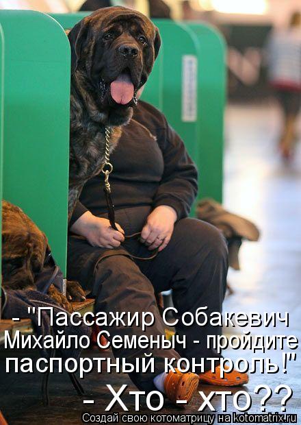 Котоматрица: - Хто - хто?? паспортный контроль!" Михайло Семеныч - пройдите - "Пассажир Собакевич