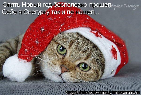 Котоматрица: Опять Новый год бесполезно прошел Себе я Снегурку так и не нашел...