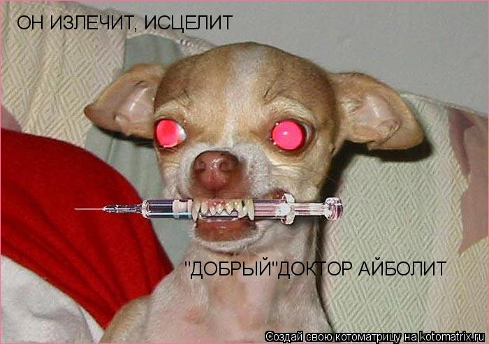 Котоматрица: ОН ИЗЛЕЧИТ, ИСЦЕЛИТ "ДОБРЫЙ"ДОКТОР АЙБОЛИТ