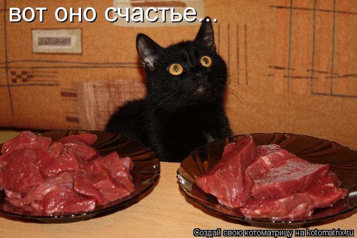 Котоматрица: вот оно счастье...
