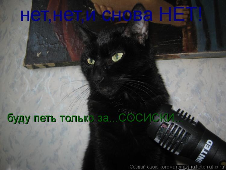 Котоматрица: нет,нет,и снова НЕТ!  буду петь только за...СОСИСКИ...
