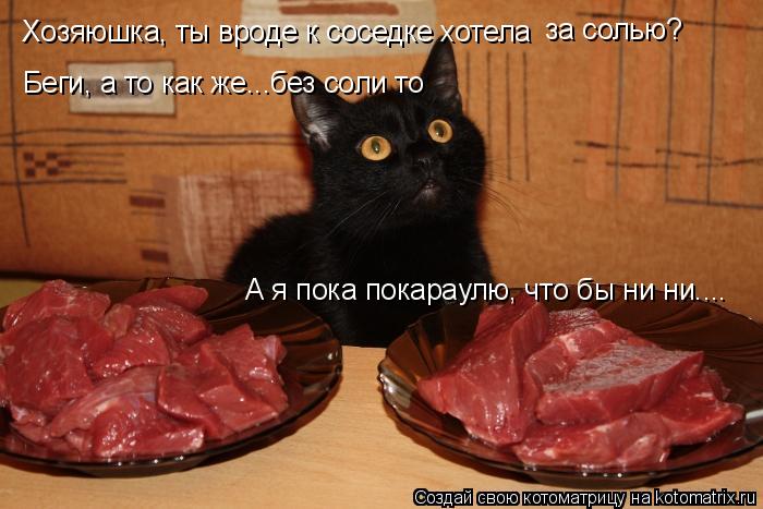 Котоматрица: Хозяюшка, ты вроде к соседке хотела  за солью?  Беги, а то как же...без соли то А я пока покараулю, что бы ни ни....