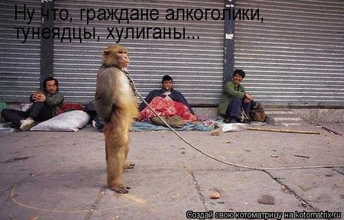 Котоматрица: Ну что, граждане алкоголики, тунеядцы, хулиганы...