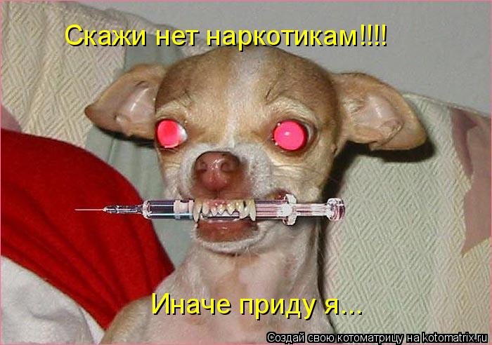 Котоматрица: Скажи нет наркотикам!!!! Иначе приду я...