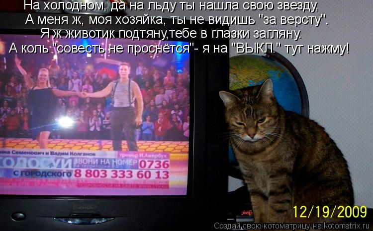 Котоматрица: Я ж животик подтяну,тебе в глазки загляну. А меня ж, моя хозяйка, ты не видишь "за версту". На холодном, да на льду ты нашла свою звезду, А коль "
