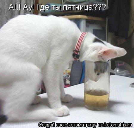 Котоматрица: А!!! Ау! Где ты пятница???