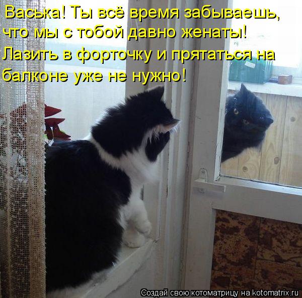 Васька! Ты всё время забываешь, что мы с тобой давно женаты! Лазить в форточку и прятаться на балкон... Котоматрица: Васька! Ты всё время забываешь, что мы с тобой давно женаты! Лазить в форточку и прятаться на балконе уже не нужно!