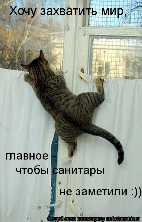 Котоматрица: Хочу захватить мир,   главное -  чтобы санитары   не заметили :)))