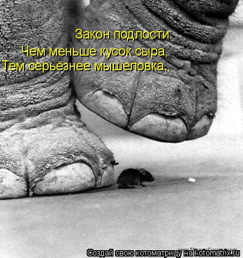 Котоматрица: Закон подлости: Чем меньше кусок сыра, Тем серьёзнее мышеловка..