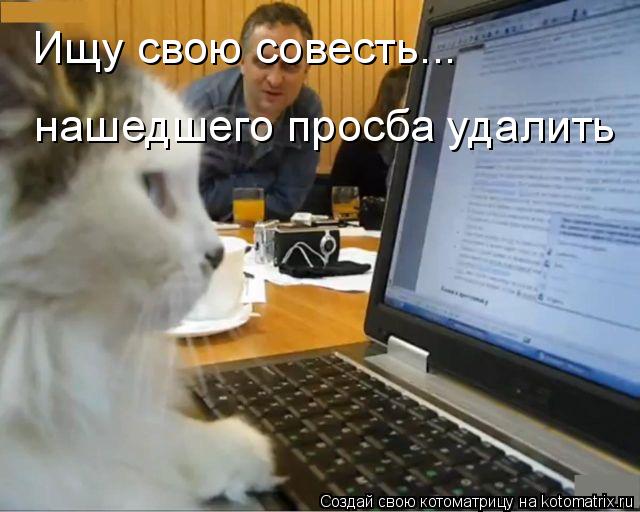 Котоматрица: Ищу свою совесть...   нашедшего просба удалить