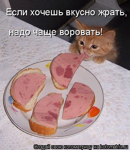 Котоматрица: Если хочешь вкусно жрать,   надо чаще воровать!