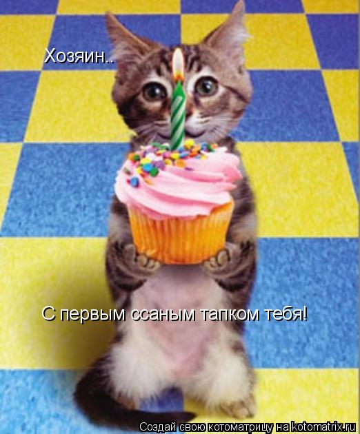 Котоматрица: Хозяин.. С первым ссаным тапком тебя!