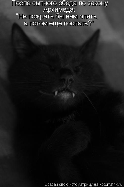 Котоматрица: После сытного обеда по закону  Архимеда: а потом ещё поспать?" "Не пожрать бы нам опять,