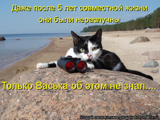 Котоматрица: Даже после 5 лет совместной жизни они были неразлучны. Только Васька об этом не знал....