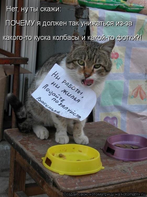Котоматрица: Нет, ну ты скажи: ПОЧЕМУ я должен так унижаться из-за какого-то куска колбасы и какой-то фотки?!