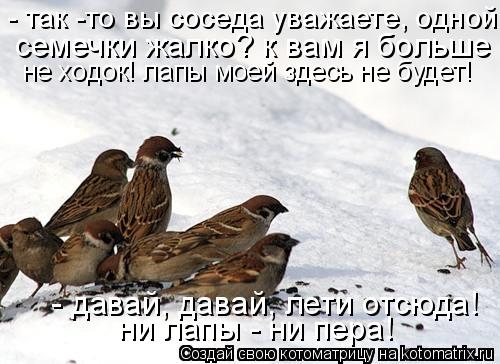 Котоматрица: - так -то вы соседа уважаете, одной семечки жалко? к вам я больше не ходок! лапы моей здесь не будет! - давай, давай, лети отсюда! ни лапы - ни пер