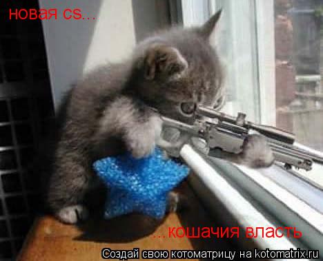 Котоматрица: новая cs... ...кошачия власть