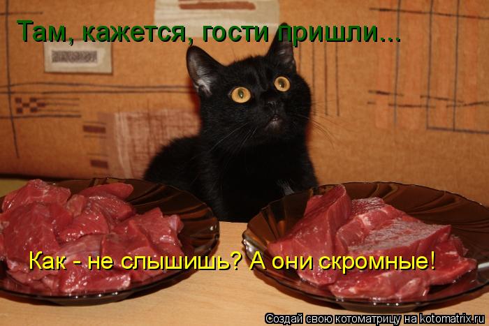 Котоматрица: Там, кажется, гости пришли... Как - не слышишь? А они скромные!