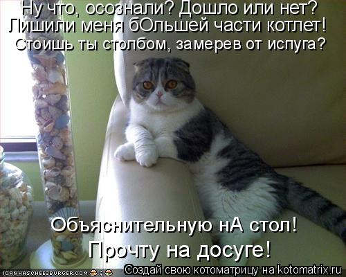 Котоматрица: Лишили меня бОльшей части котлет! Объяснительную нА стол! Прочту на досуге! Стоишь ты столбом, замерев от испуга? Ну что, осознали? Дошло или 