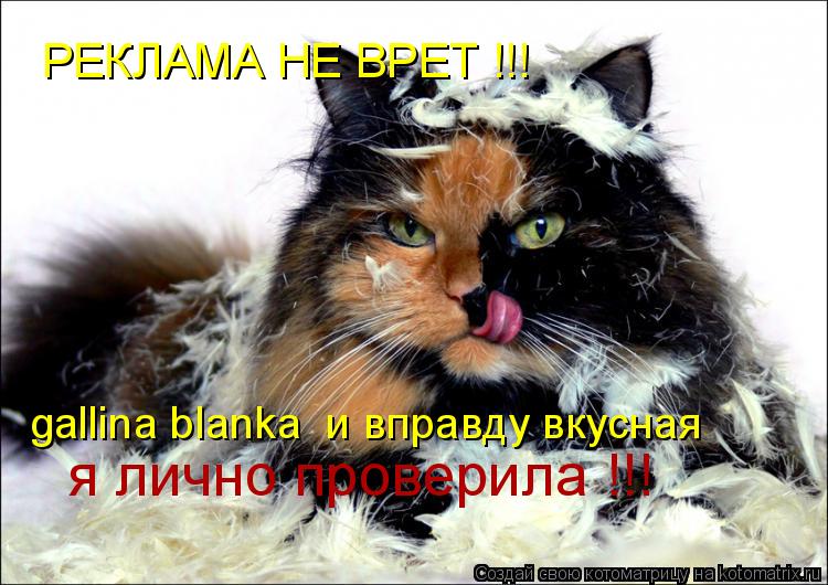 Котоматрица: РЕКЛАМА НЕ ВРЕТ !!! gallina blanka  и вправду вкусная я лично проверила !!!