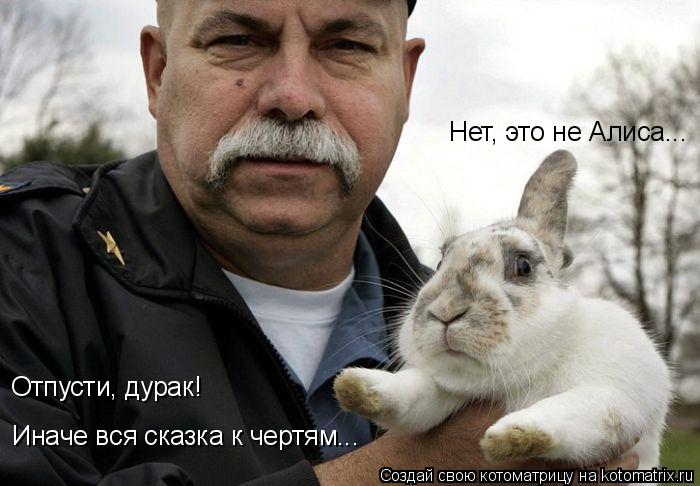 Котоматрица: Отпусти, дурак! Иначе вся сказка к чертям... Нет, это не Алиса...