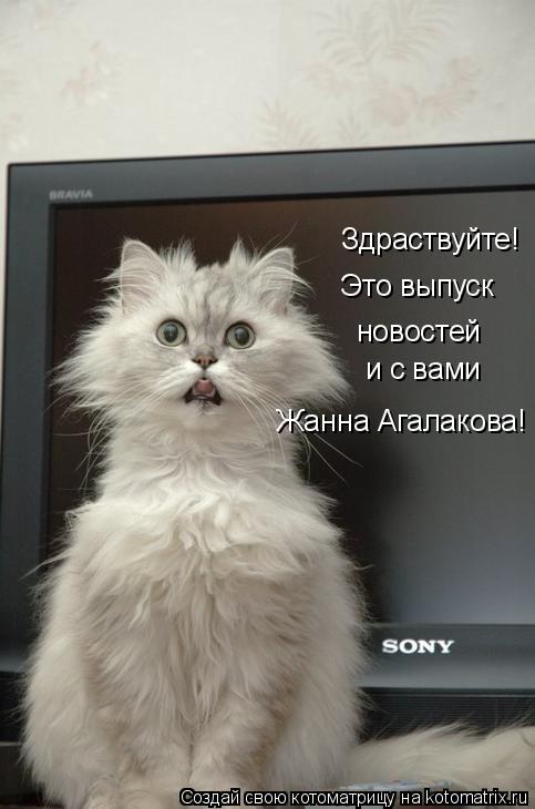 Котоматрица: Здраствуйте! Это выпуск новостей и с вами Жанна Агалакова!