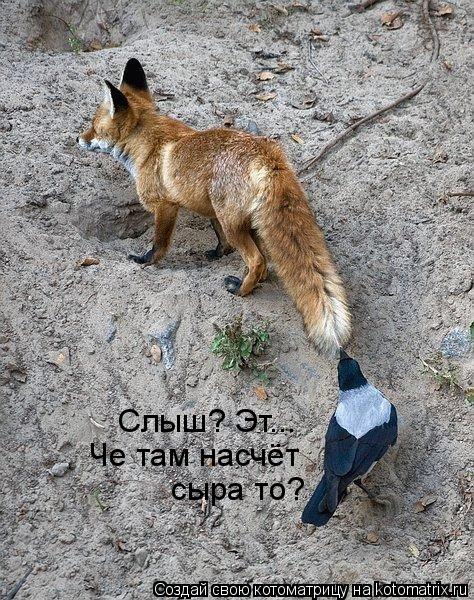Котоматрица: Слыш? Эт... Че там насчёт  сыра то?