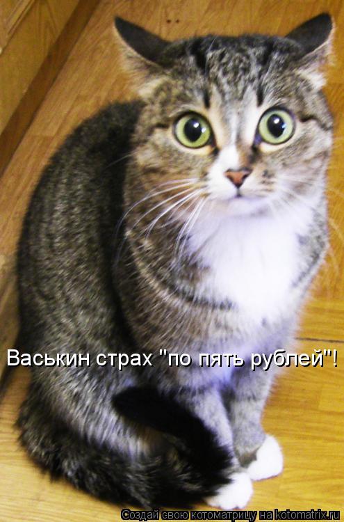 Васькин страх "по пять рублей"!... Котоматрица: Васькин страх "по пять рублей"!