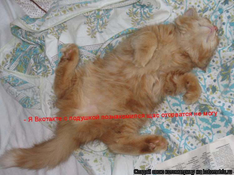 - Я Вкотакте с подушкой познакомился щас оторватся не могу... Котоматрица: - Я Вкотакте с подушкой познакомился щас оторватся не могу