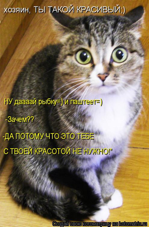 хозяин, ТЫ ТАКОЙ КРАСИВЫЙ;) НУ даааай рыбку=) и паштеет=) -Зачем?? -ДА ПОТОМУ ЧТО ЭТО ТЕБЕ С ТВОЕЙ КР... Котоматрица: хозяин, ТЫ ТАКОЙ КРАСИВЫЙ;) НУ даааай рыбку=) и паштеет=) -Зачем?? -ДА ПОТОМУ ЧТО ЭТО ТЕБЕ С ТВОЕЙ КРАСОТОЙ НЕ НУЖНО!"