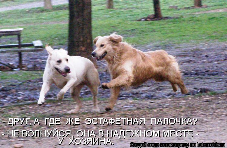 Котоматрица: - ДРУГ, А  ГДЕ  ЖЕ  ЭСТАФЕТНАЯ  ПАЛОЧКА? - НЕ ВОЛНУЙСЯ, ОНА В НАДЕЖНОМ МЕСТЕ - У  ХОЗЯИНА.