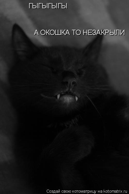 Котоматрица: ГЫГЫГЫГЫ А ОКОШКА ТО НЕЗАКРЫЛИ