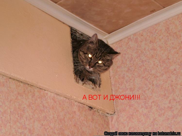 Котоматрица: А ВОТ И ДЖОНИ!!!