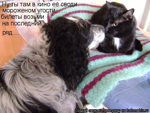 Котоматрица: Ну ты там в кино её своди мороженом угости....... билеты возьми на последний ряд....
